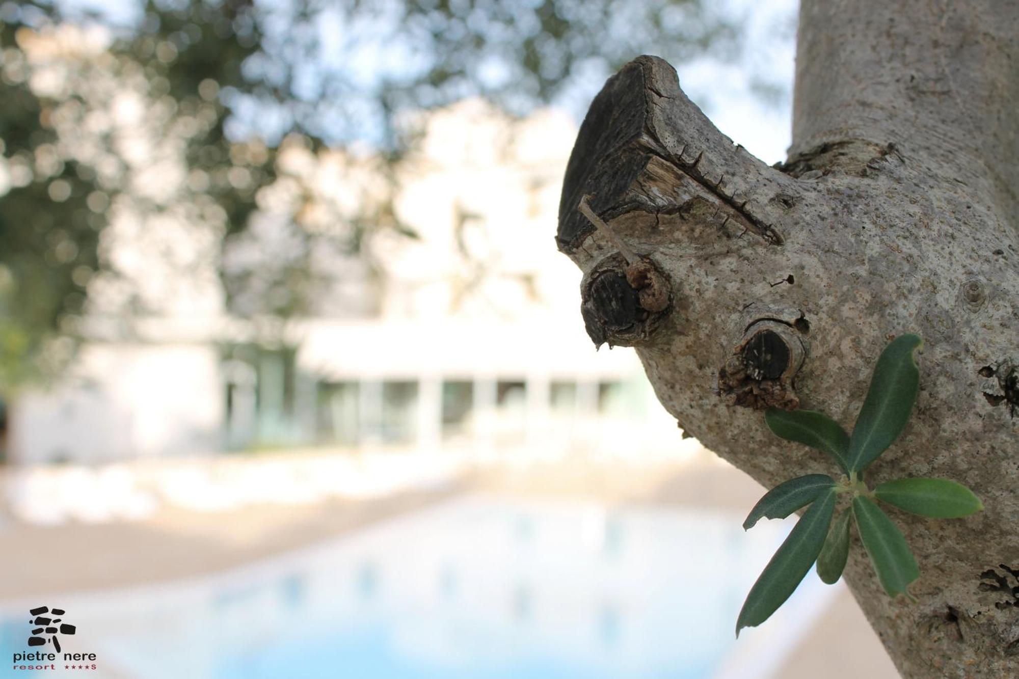 Pietre Nere Resort&Spa Modica Exterior foto